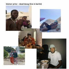 kleiner prinz - dead dawg(live in berlin)