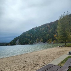 Our Dog Muffin - Steven Blessinger.mp3