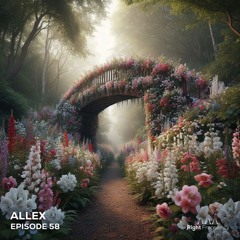 Right Frequency - Episode 58 - Allex