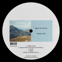 Basic 96 & Érratic - Deeper State