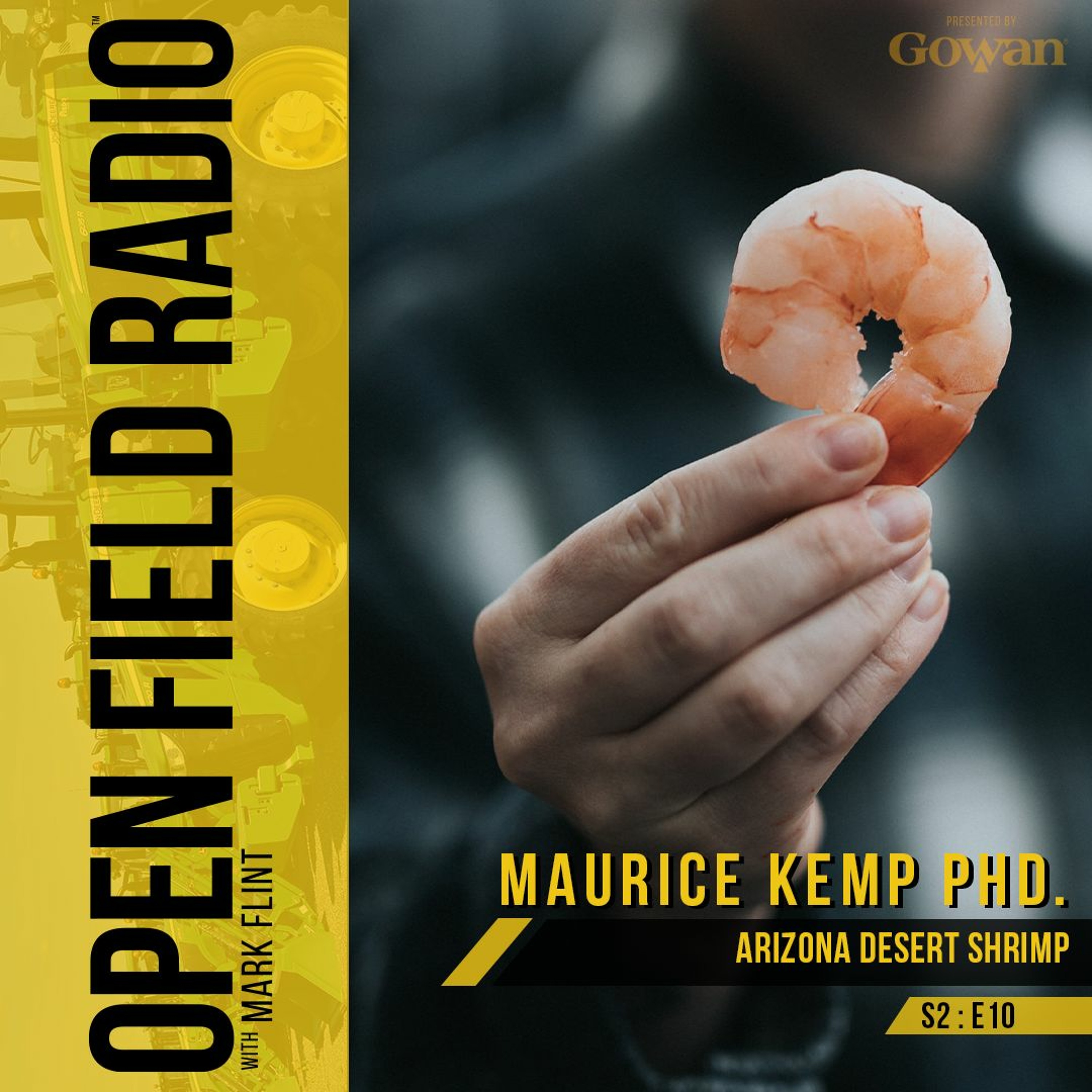 Can you really grow shrimp in the desert?! Maurice Kemp Phd. Arizona Desert Shrimp