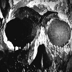 2022 DJ RiM SET0008 : TRIP