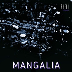 Shell reloaded