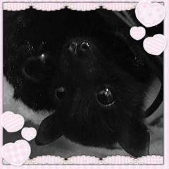 ＩLᵒᵛᵉᵧₒᵤ♥♡♡