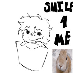SMILER 4 ME (smiler remix)