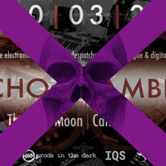 cjmann - Echo Chamber III Face Melter