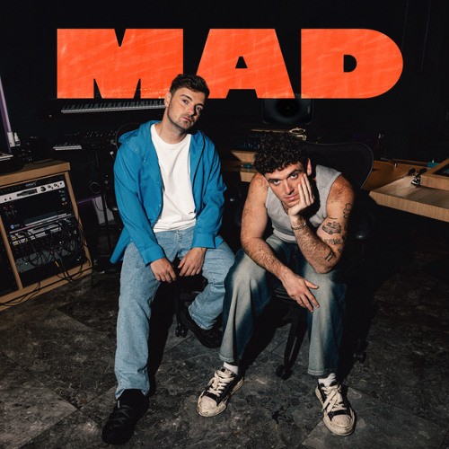 Martin Garrix & Lauv - MAD  [Impulse Remix]