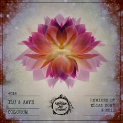 Ilu & Aaye - Argentum (Nhii Remix) [Rebellion der Träumer]