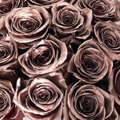 Rose Gold (Dubplate Mix)