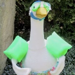 Silly Goose (cozyxhris sossilly)