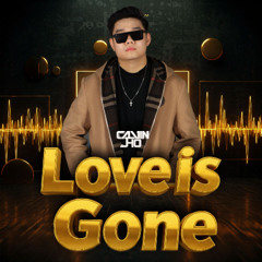 LOVE IS GONE - SLANDER (Calvin Jho Remix)
