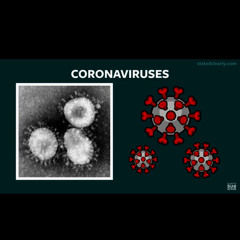coronavirus ne (lamartin)