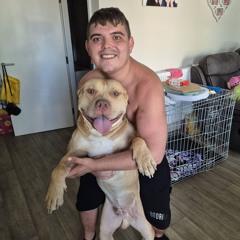 save our bullys