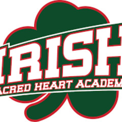Sacred Heart Irish/Kalkaska Blazers TD Compilation