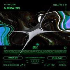 PREMIERE | Auriga (SP) - Jamal Kudu [Psycho Recordings]