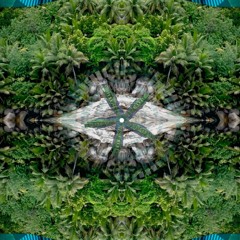Skunk (Dancehall Rap Beat)