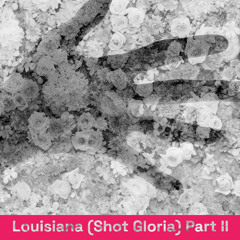 Louisiana (Shot Gloria) Part 2 (Home Demo)
