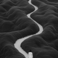 Morning walk in the Jungle  mix04