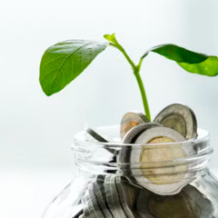 How Beginners Can Grow Their Money with KOSEC Kodari Securities Investment Tips