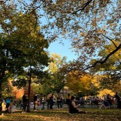 Autumn Organic & Progressive House