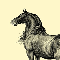 most people are stupid