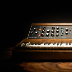 STBB#738[Synthy]