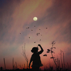 Moonlight