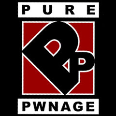 Pure Pwnage "Lifestyles" end music cue
