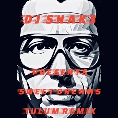 DJ SNAK3 PRESENTS SWEET DREAMS (TULUM REMIX)_AudioMaster.wav