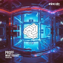 PROFF - What You Got (Original Mix)