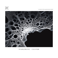 Stablematic - Cluster