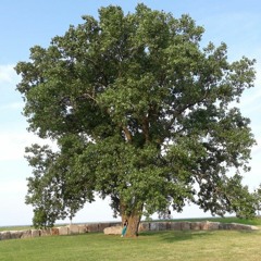 기차길  demo(by sophysoon)