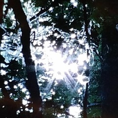 headlights (shadow!)