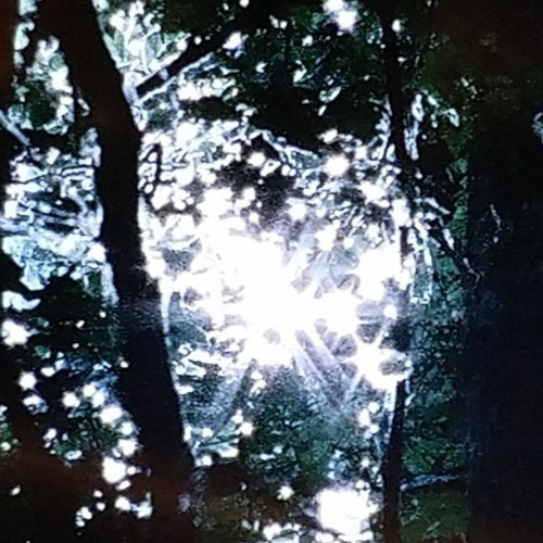 headlights (shadow!)