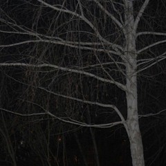 Sonya36 - Dark Avenue Ft. Wretched (The Apathy) (RARE)