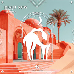 Troitski - Right Now feat. Neimak [Cafe De Anatolia]