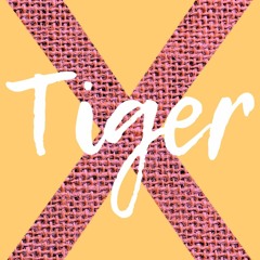 Tiger X. Episode 9. Mensis Junius