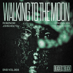 Robznow, John Holt Dj - Walking To The Moon (Radio Edit)