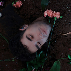 glass houses (demo)