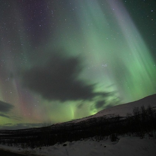 Solar Winds