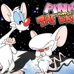 Pinky&The Brain/CTS/