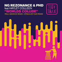 Worlds Collide (Paul Maddox Remix - Radio Edit) [feat. Hayley Colleen]
