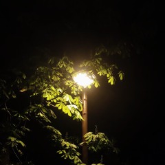 melancholy