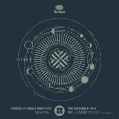 The Invisible Man - Skyliner (Tim Cant & SoulStructure Remix)(Clip)