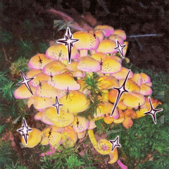 Issasha at Unaharn 1st Anniversary 2023