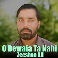 O Bewafa Ta Nahi - Zeeshan Ali