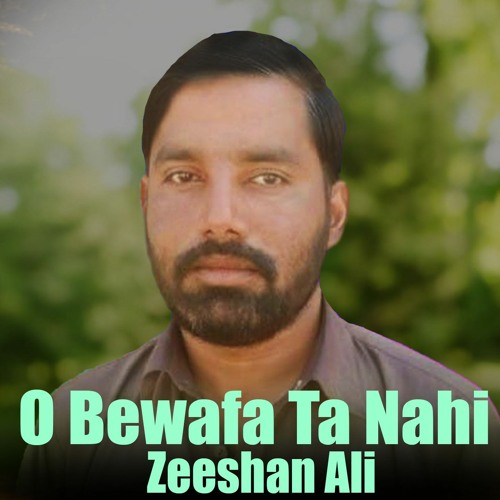 O Bewafa Ta Nahi - Zeeshan Ali