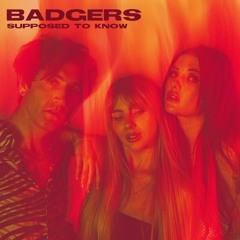 BADGERS - Supposed To Know