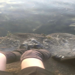 миллионы роз падают на кровь