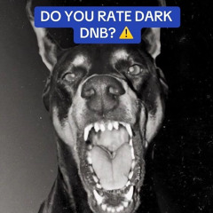 DNB Remix